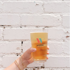 Waldo Pint Glass